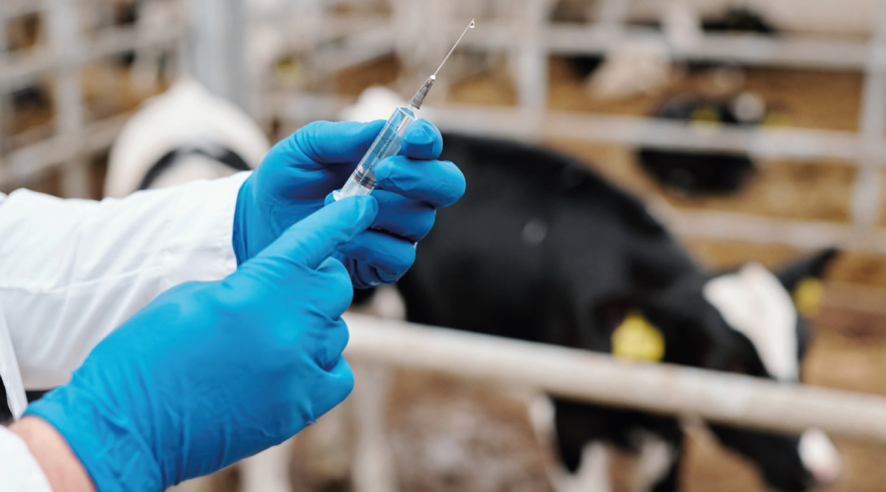Syringes and needles