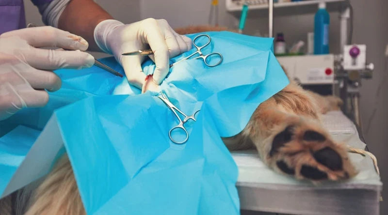 Surgical products